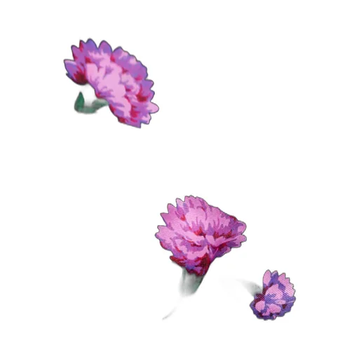 Dolce & Gabbana Carnations Printed Scarf