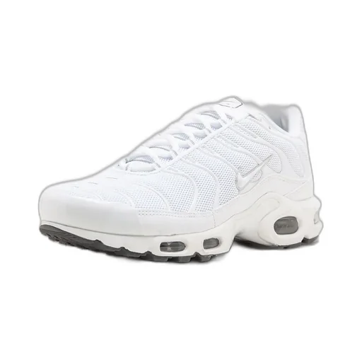 Air Max Plus Sneakers