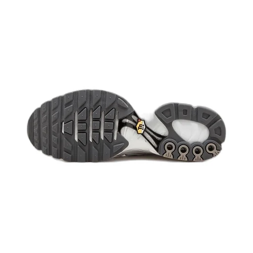 Air Max Plus Sneakers