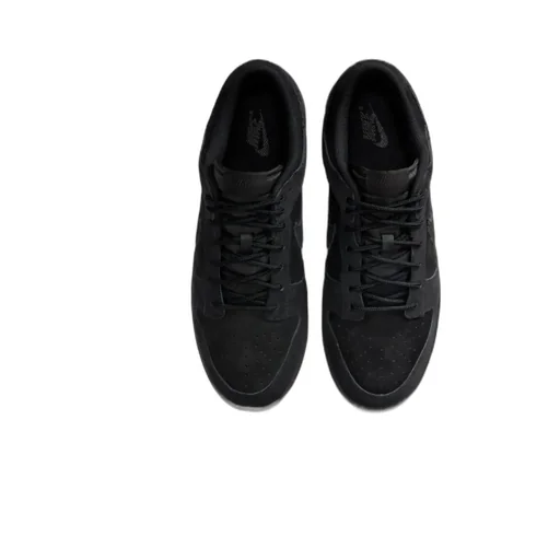 Dunk Low Retro Lace-Up Fastening Sneakers