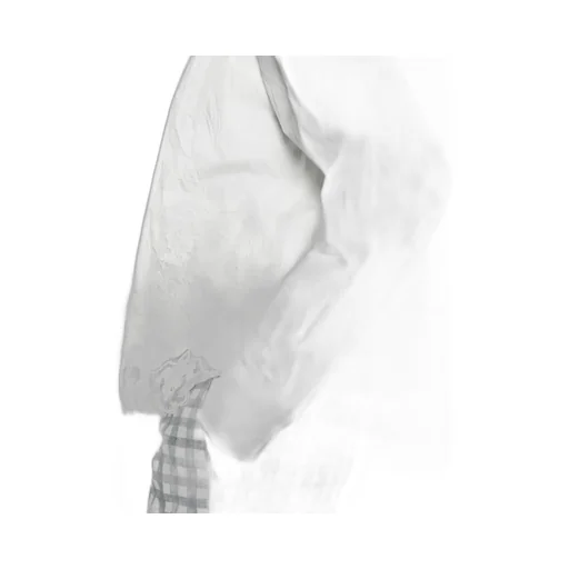 Lace Collar Shirt