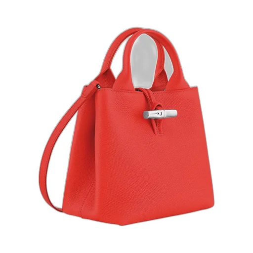 Le Roseau S Handbag