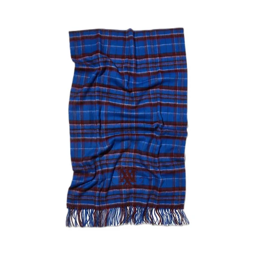Tasseled Scarf