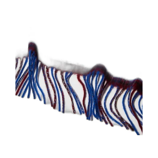 Tasseled Scarf