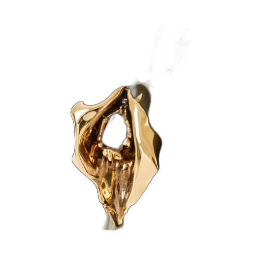 Chloé Small Eden Treasures Wristlet Bucket Bag