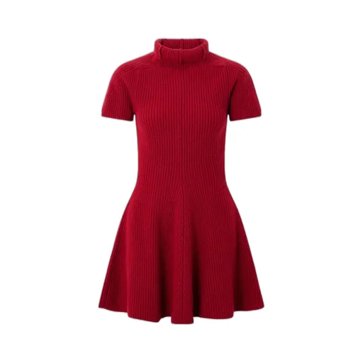 Ribbed Cashmere Turtleneck Mini Dress