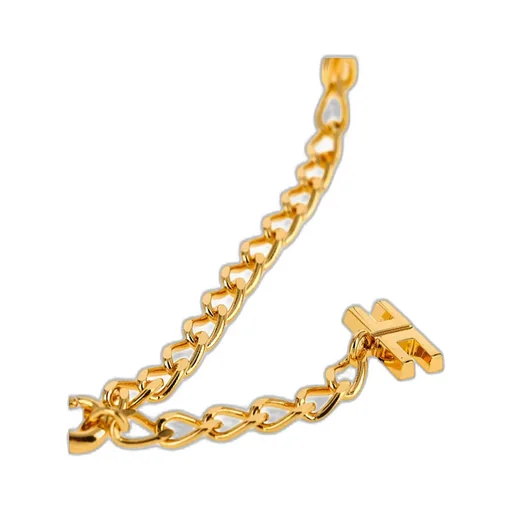 Elisabetta Franchi Band Design Chained Necklace
