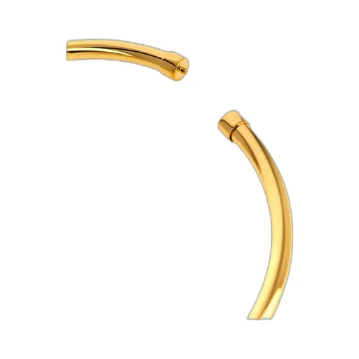 Elisabetta Franchi Logo Plaque Necklace