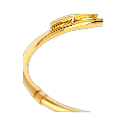 Elisabetta Franchi Logo Plaque Necklace