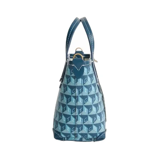 Anya Hindmarch I Am A Plastic Bag Mini Tote Bag