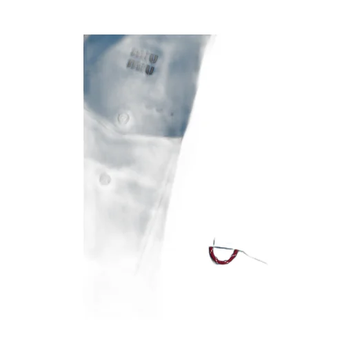 Miu Miu Logo-Embroidered Button-Up Shirt