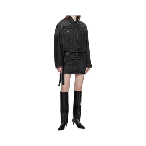 Low Rise Denim Mini Skirt