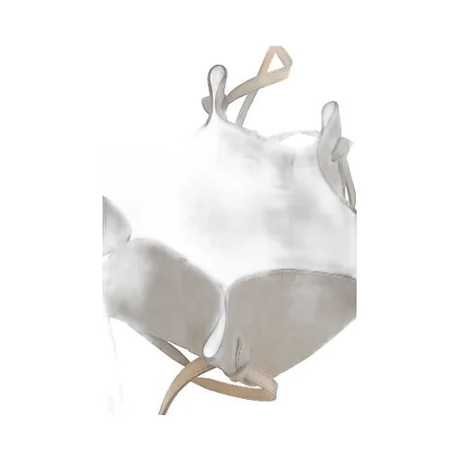 Mochi Tote Bag