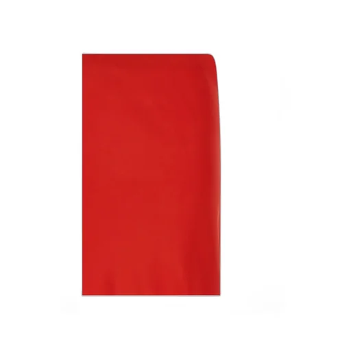 Ermanno Scervino Mermaid Skirt
