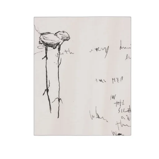 Ann Demeulemeester Strapped Long Sleeved T-Shirt