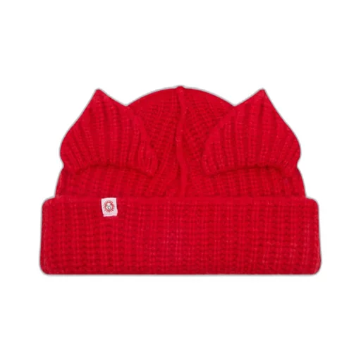Chunky Ears Beanie Hat