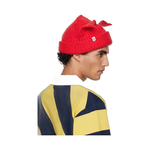 Chunky Ears Beanie Hat