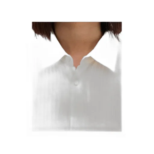 Classic Long-Sleeved Shirt