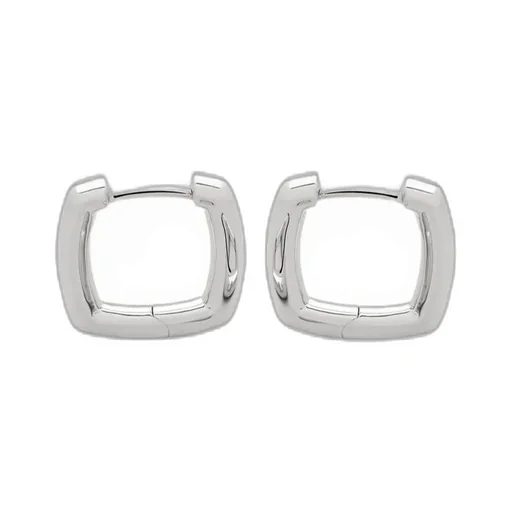 Square And Circular Ring Design Earrings