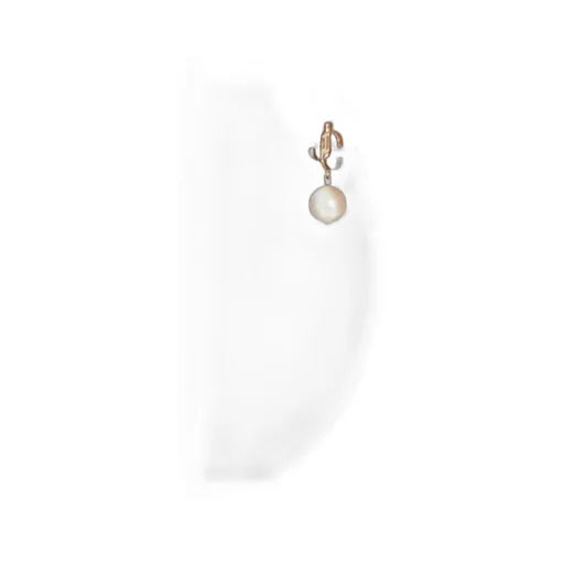 Pendant Earrings