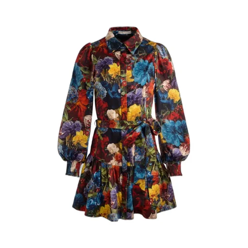 Lily Mini Shirt Dress