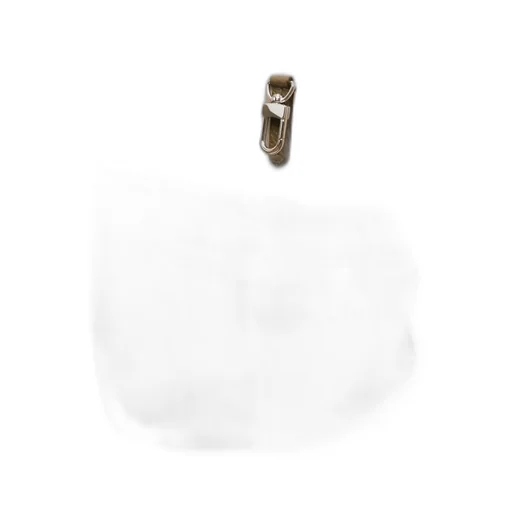 Belted Tote Bag
