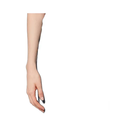 Isabel Marant Dakota Pants