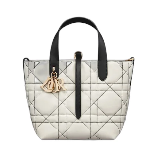 Small Dior Toujours Vertical Tote Bag