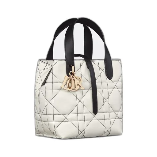 Small Dior Toujours Vertical Tote Bag