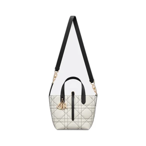Small Dior Toujours Vertical Tote Bag