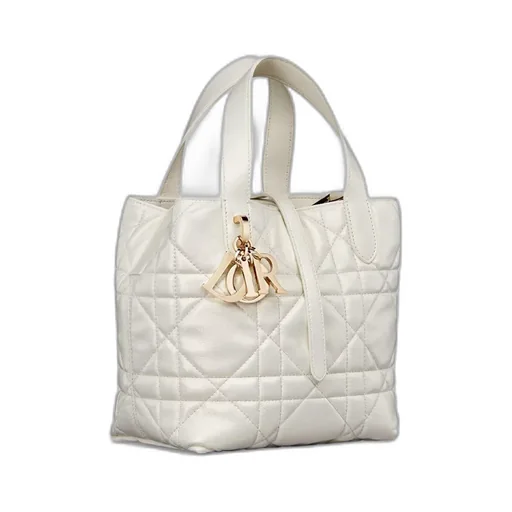 Small Dior Toujours Vertical Tote Bag