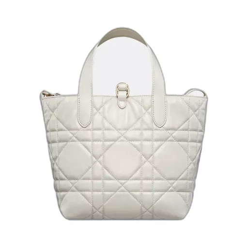 Small Dior Toujours Vertical Tote Bag