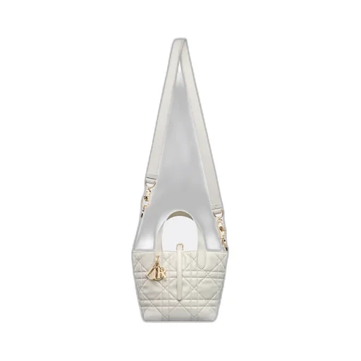 Small Dior Toujours Vertical Tote Bag