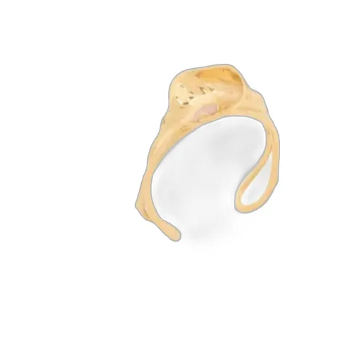 Chloethe Chloé Flower Soul Cuff