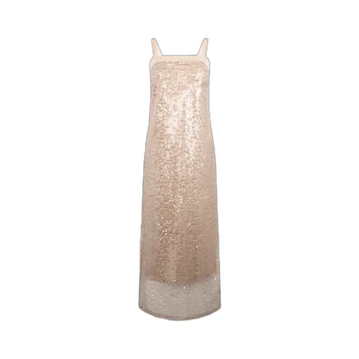 Sequined Translucent Dress