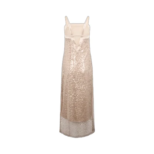 Sequined Translucent Dress