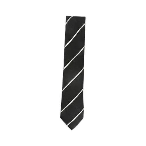 Striped Tie