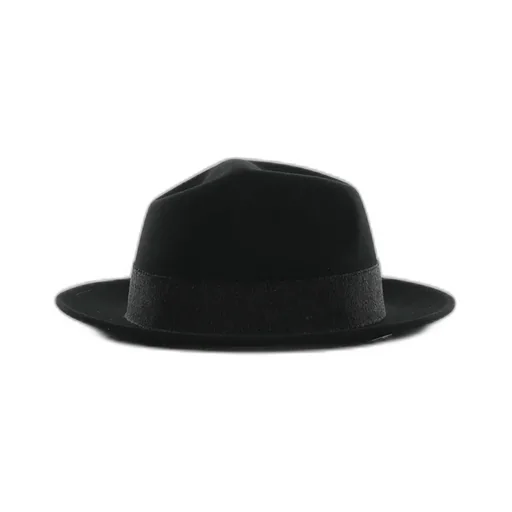 Borsalino Medium Brim Felt Hat