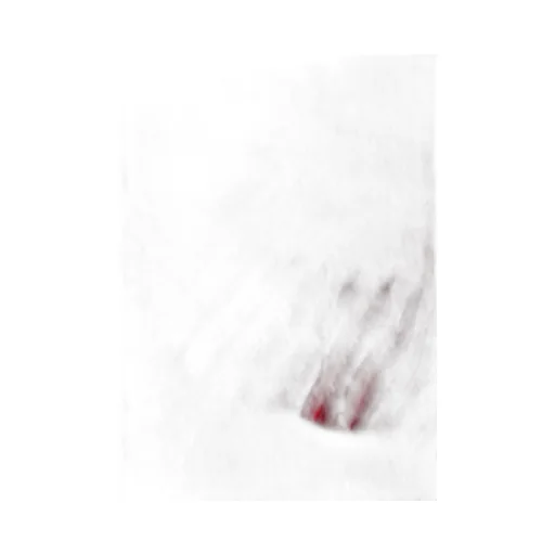 Fuzzy Fringed Scarf