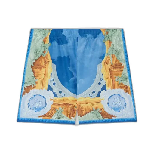 Printed Swim Shorts