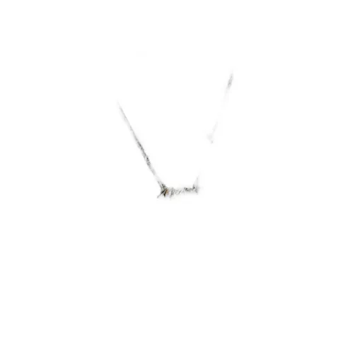 Logo Necklace