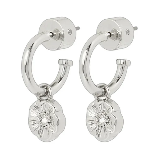 Pendant Earrings