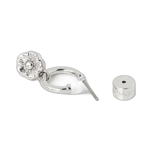 Pendant Earrings