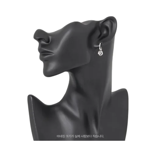 Pendant Earrings