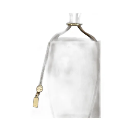 Chlo Spin Tote Bag