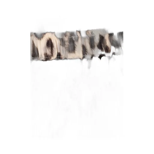 Ermanno Scervino Printed Midi Skirt