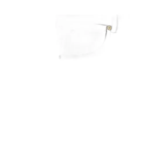 Pant 's Max Mara