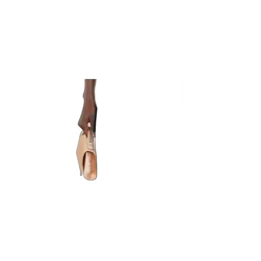 Falabella Handbag