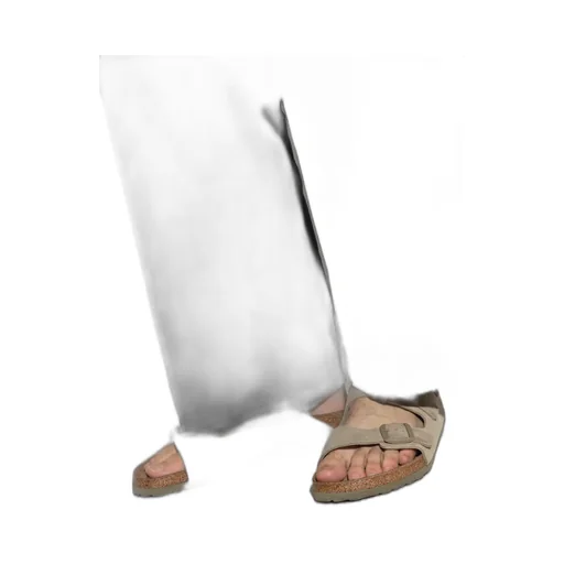 Arizona Buckled Sandals