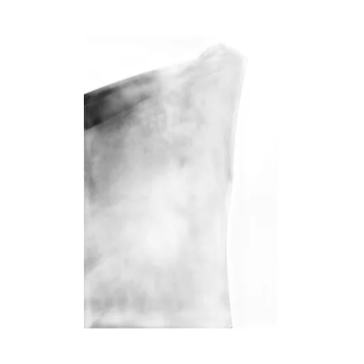 Rick Owens Athena Asymmetric Sleeveless Top